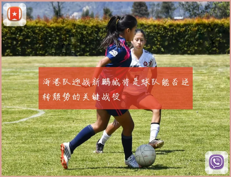 海港队迎战新鹏城将是球队能否逆转颓势的关键战役